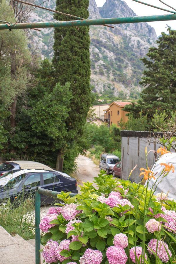 St Duke Apartment Kotor Dış mekan fotoğraf