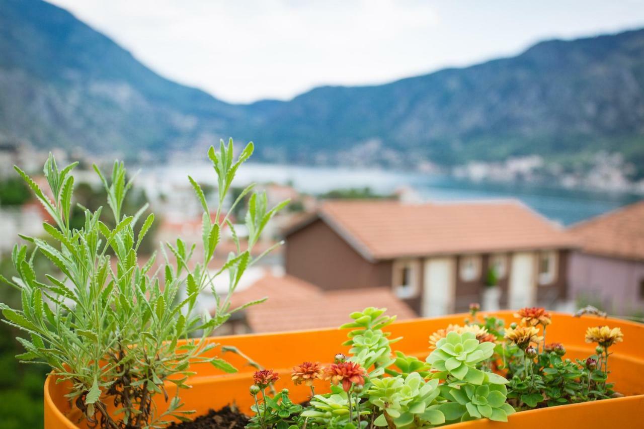 St Duke Apartment Kotor Dış mekan fotoğraf