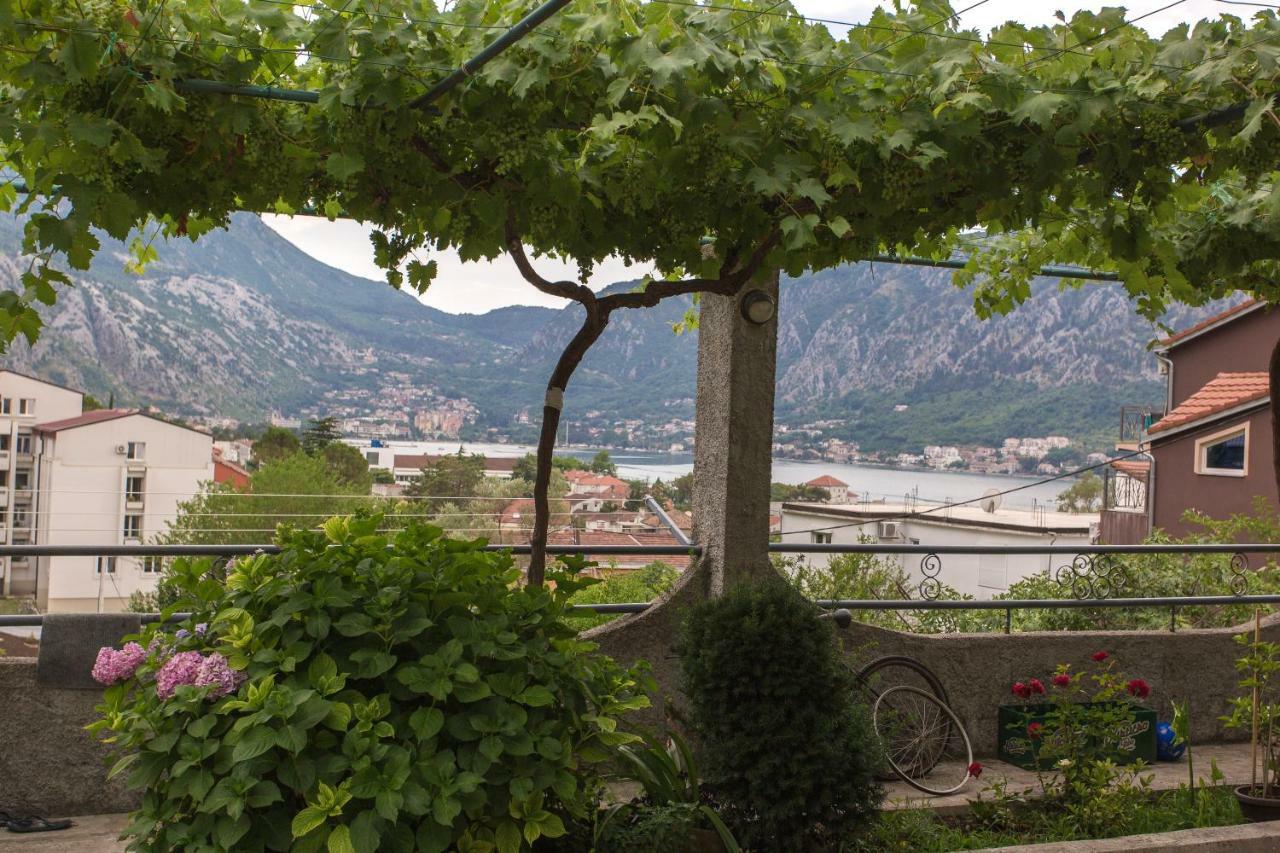 St Duke Apartment Kotor Dış mekan fotoğraf
