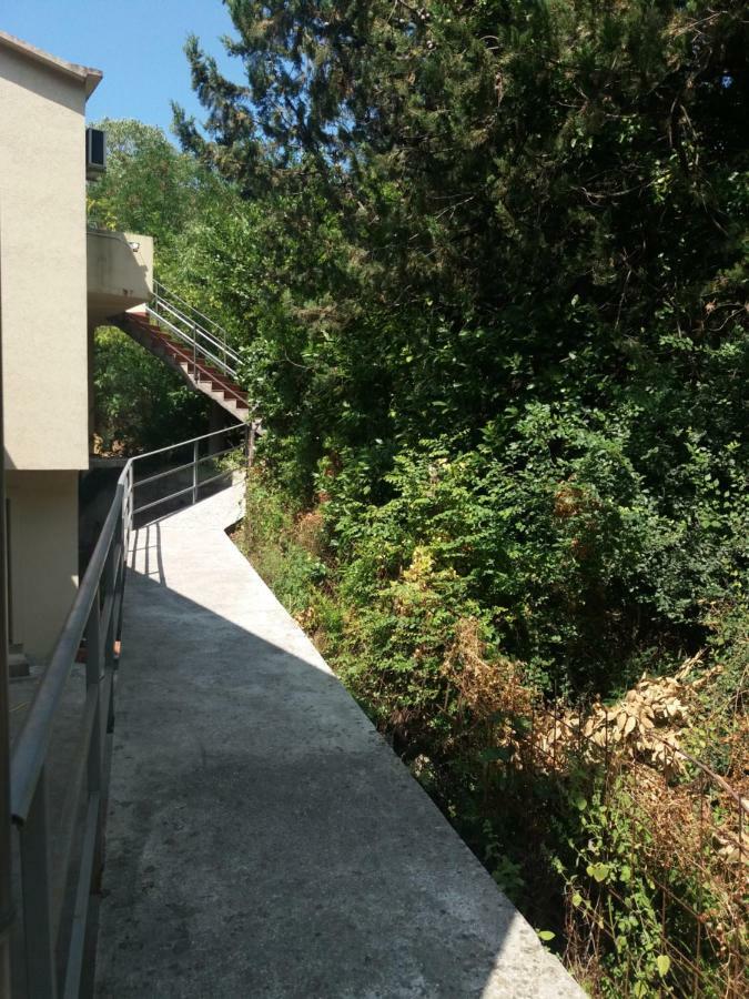 St Duke Apartment Kotor Dış mekan fotoğraf